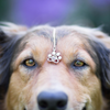 Personalized Pet Photo Necklace - Perfect Gift For Pet Lovers