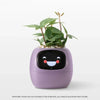 Ivy Smart Plant Pot