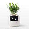Ivy Smart Plant Pot