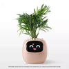 Ivy Smart Plant Pot