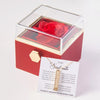 To My Soulmate - Secret Necklace - Spin of Love Gift Box Set