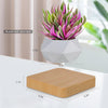 Levitating Flowerpot - Levitating Spinning Bonsai Pot - Magnetic Levitating Planter