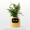 Ivy Smart Plant Pot