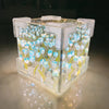 Tulip Cube Night Light - Illuminated Bloom - Decorative Luminary