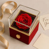 Let's Start Over - Love Knot with Rotating Rose Gift Box - Romantic Gifts For Her