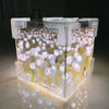 Tulip Cube Night Light - Illuminated Bloom - Decorative Luminary