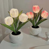 Tulip Serenity Lamp – Elegant Ambient Lighting for a Tranquil Atmosphere