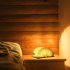 Wooden Book Lamp – Foldable and Portable Ambient Lighting