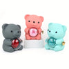 Eternal Love Rose Bear & Passion Ring Gift Set – Symbol of True Love