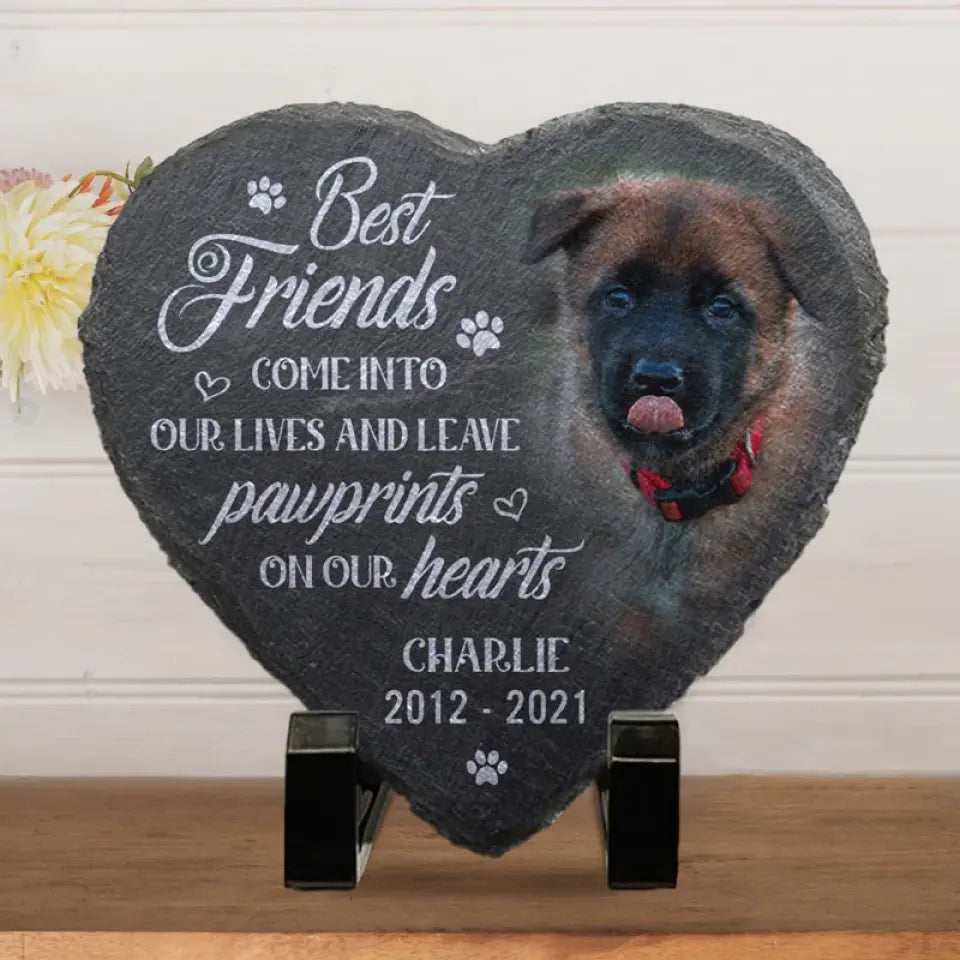 Custom Photo You Would Have Lived Forever - Memorial Personalized Custom Memorial Stone - Sympathy Gift, Gift For Pet Owners, Pet Lovers