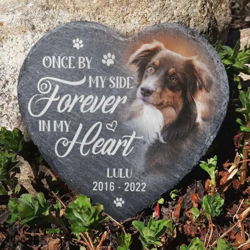 Custom Photo You Would Have Lived Forever - Memorial Personalized Custom Memorial Stone - Sympathy Gift, Gift For Pet Owners, Pet Lovers