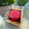 Let's Start Over - Love Knot with Rotating Rose Gift Box - Romantic Gifts For Her