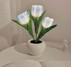 Tulip Serenity Lamp – Elegant Ambient Lighting for a Tranquil Atmosphere