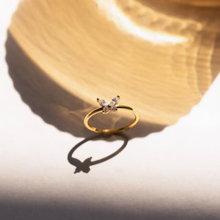 Butterfly Ring for Her – A Symbol of Transformation and Elegance