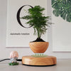 Levitating Flowerpot - Levitating Spinning Bonsai Pot - Magnetic Levitating Planter