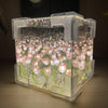 Tulip Cube Night Light - Illuminated Bloom - Decorative Luminary