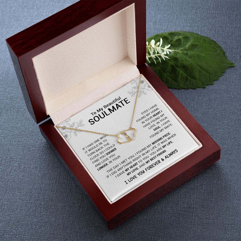 To My Beautiful Soulmate | I Have Found My Mate | Everlasting Love Necklace