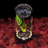 Real Preserved Rose in Glass Dome with LED Lights – Eternal Beauty and Elegance