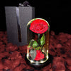 Real Preserved Rose in Glass Dome with LED Lights – Eternal Beauty and Elegance