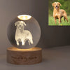 Personalized Crystal Light – Illuminate Your Memories in Elegance