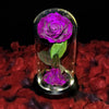 Real Preserved Rose in Glass Dome with LED Lights – Eternal Beauty and Elegance