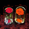 Real Preserved Rose in Glass Dome with LED Lights – Eternal Beauty and Elegance