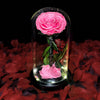 Real Preserved Rose in Glass Dome with LED Lights – Eternal Beauty and Elegance