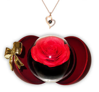 Gift of Love Projection Necklace in Red Circle Bow Box – A Romantic Treasure