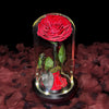 Real Preserved Rose in Glass Dome with LED Lights – Eternal Beauty and Elegance