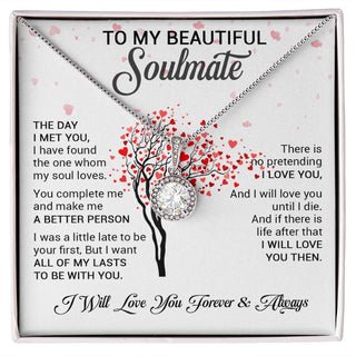 To My Beautiful Soulmate | The Day I Met You | Eternal Hope Necklace